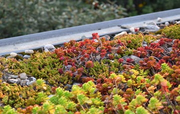 the cost of Oakle Street green roof installation