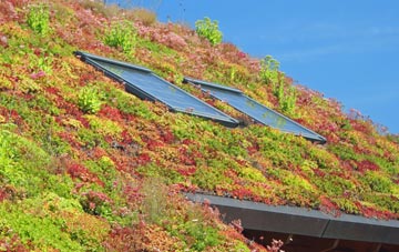 Oakle Street living roof systems